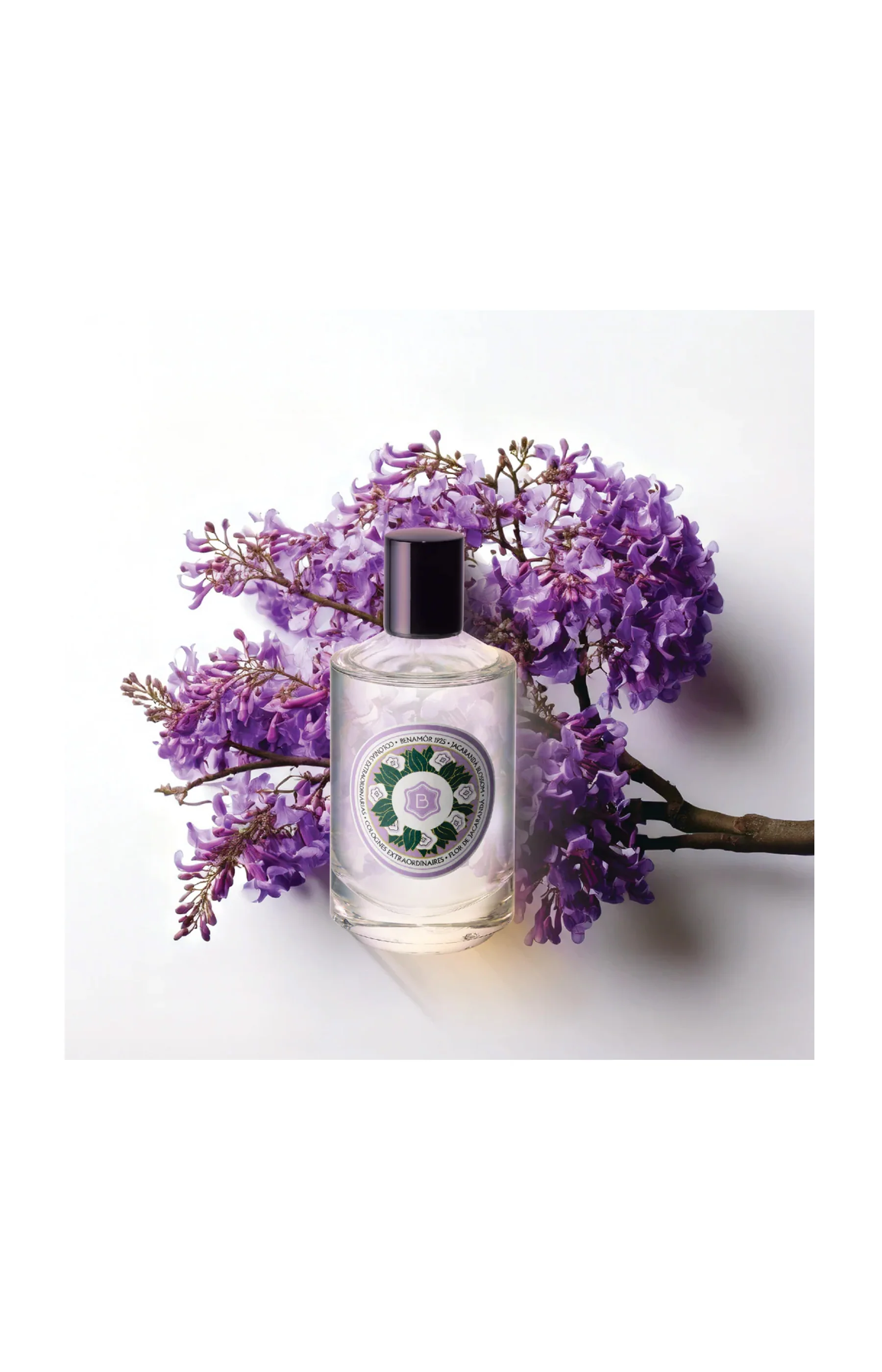 Eau de cologne - Jacarandá - Image 2