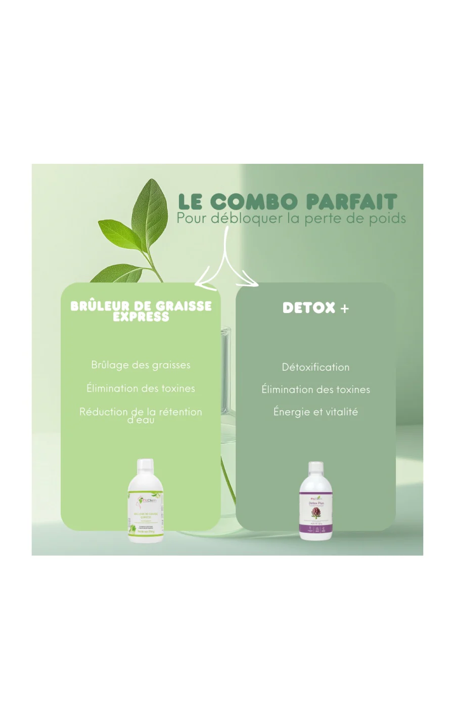 Sirop brûleur de graisse express - Guarana & thé vert - 20 jours - Image 6