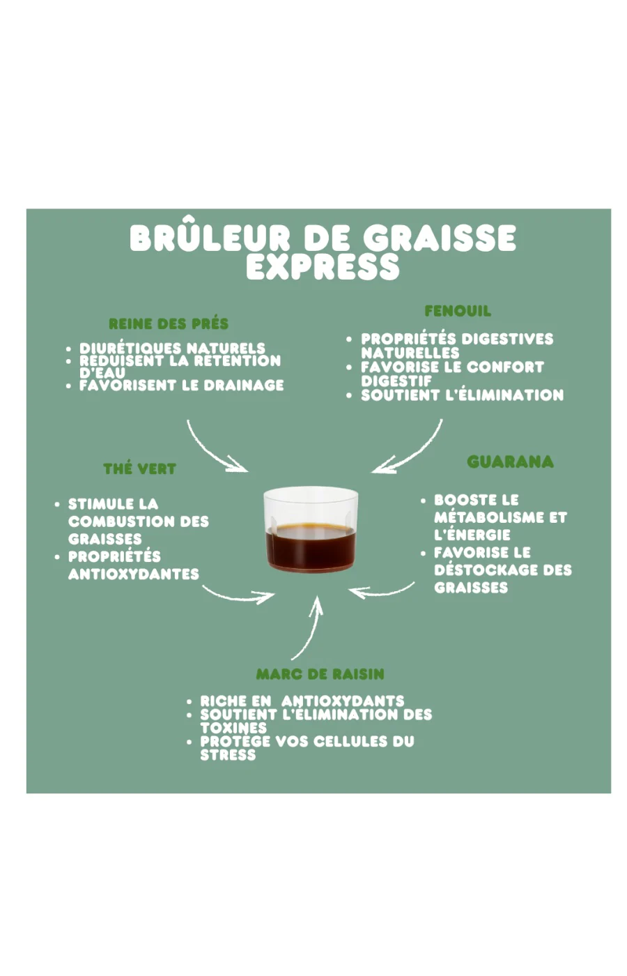Sirop brûleur de graisse express - Guarana & thé vert - 20 jours - Image 8