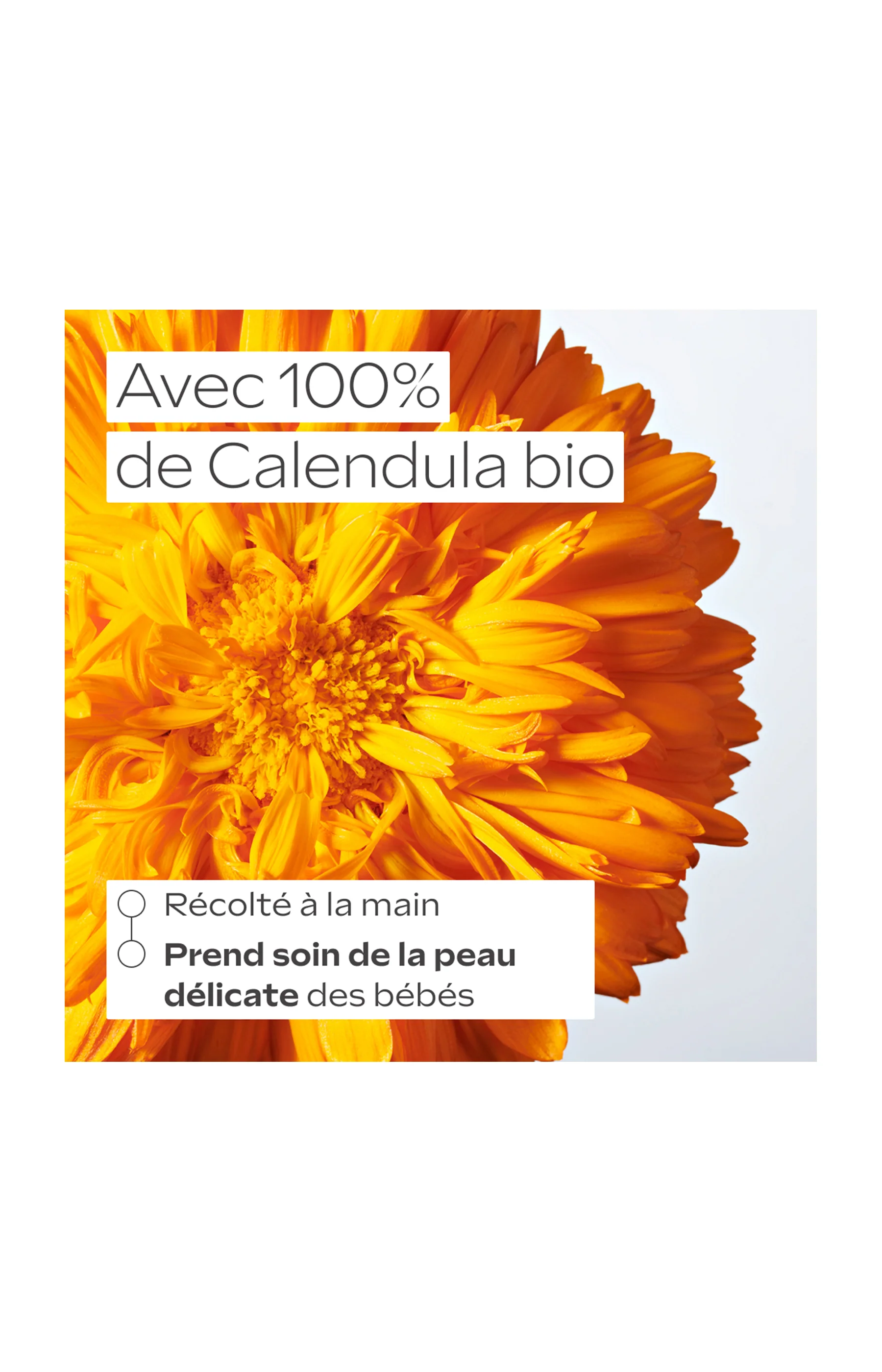 Crème hydratante bébé bio - Calendula - 50 ml - Image 3