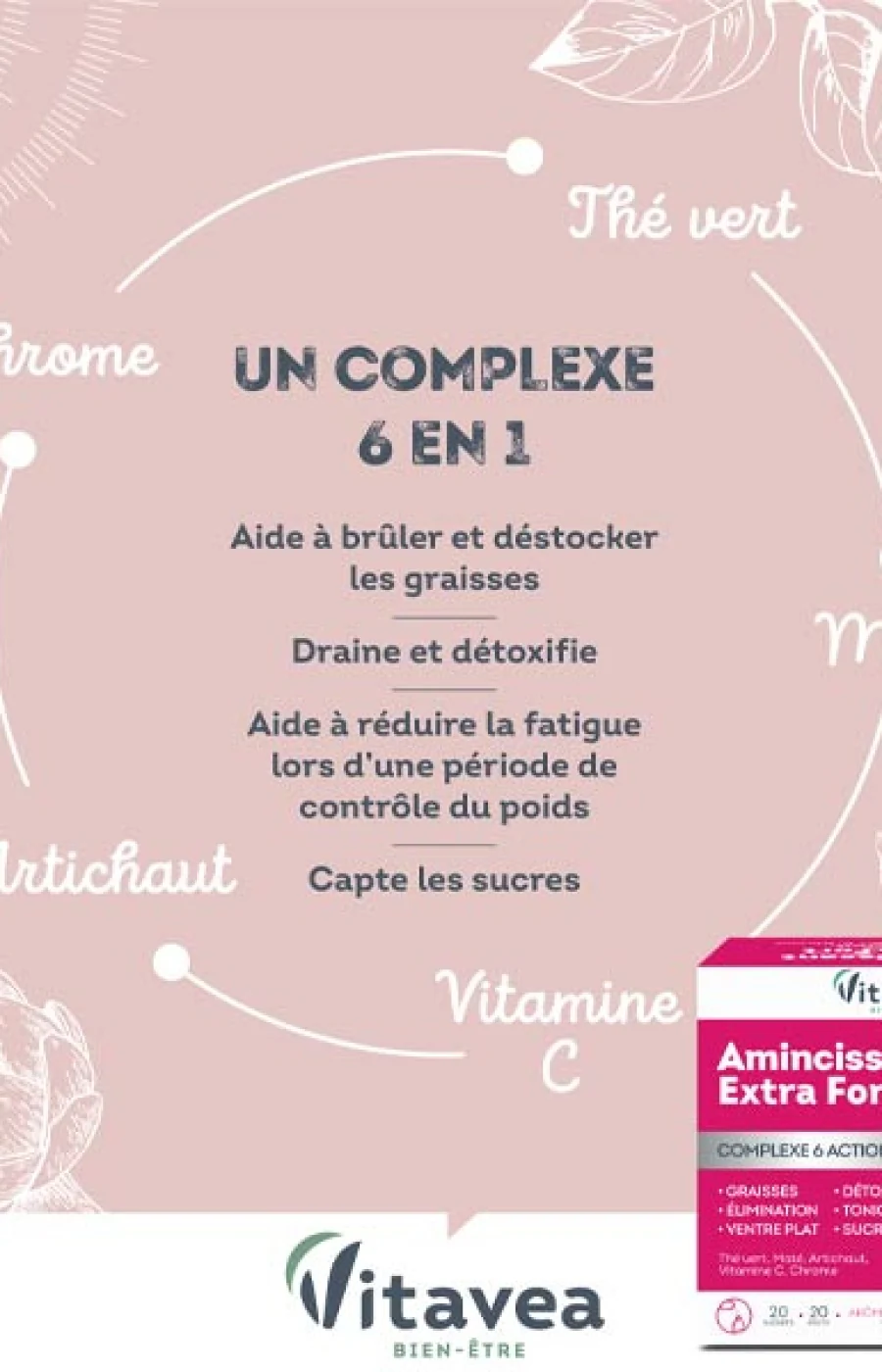 Cure amincissante - Extra Fort - Fraise - 2 mois - Image 3