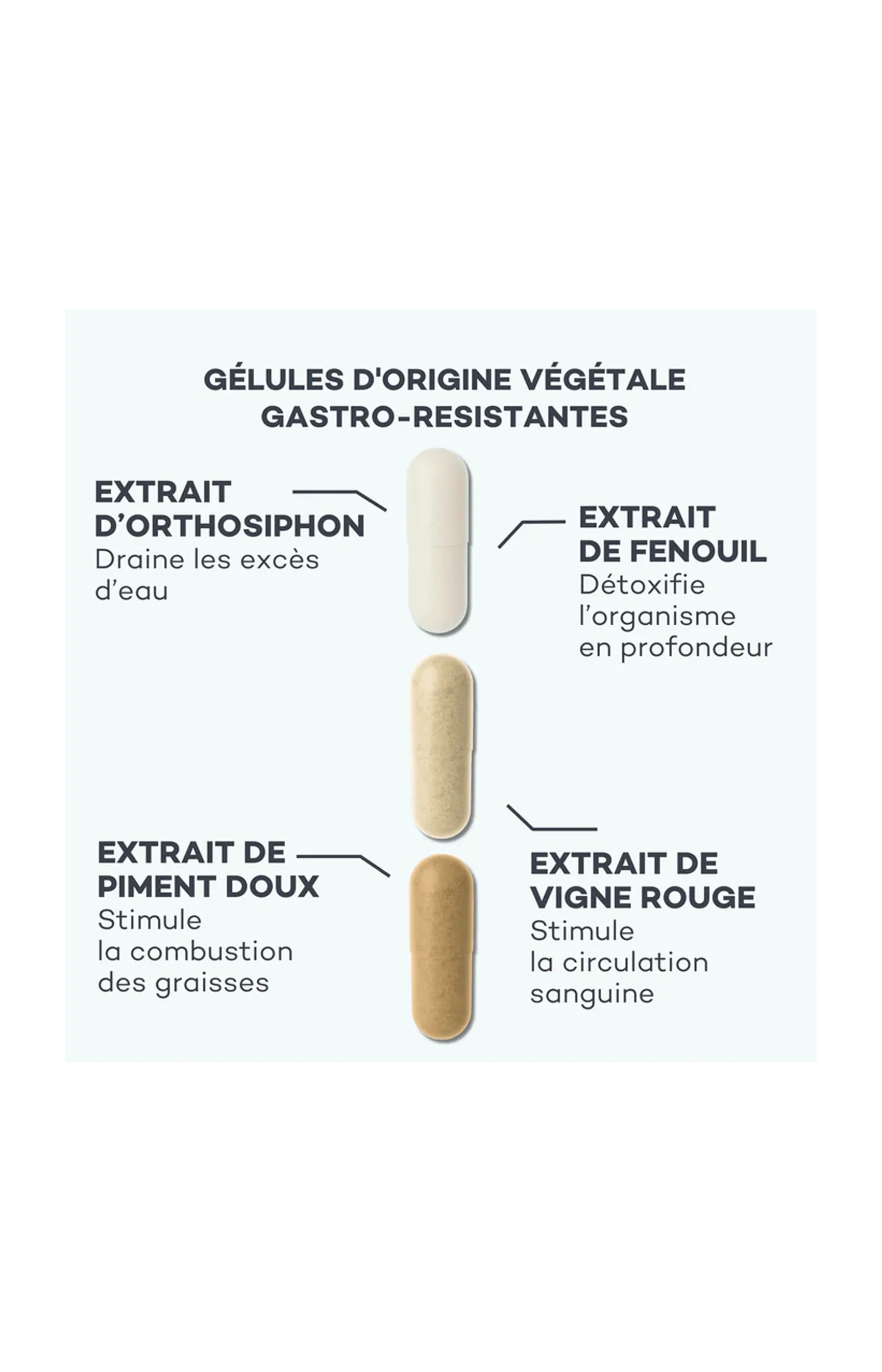 Cures anti-cellulite & drainage - 3 mois - Image 2