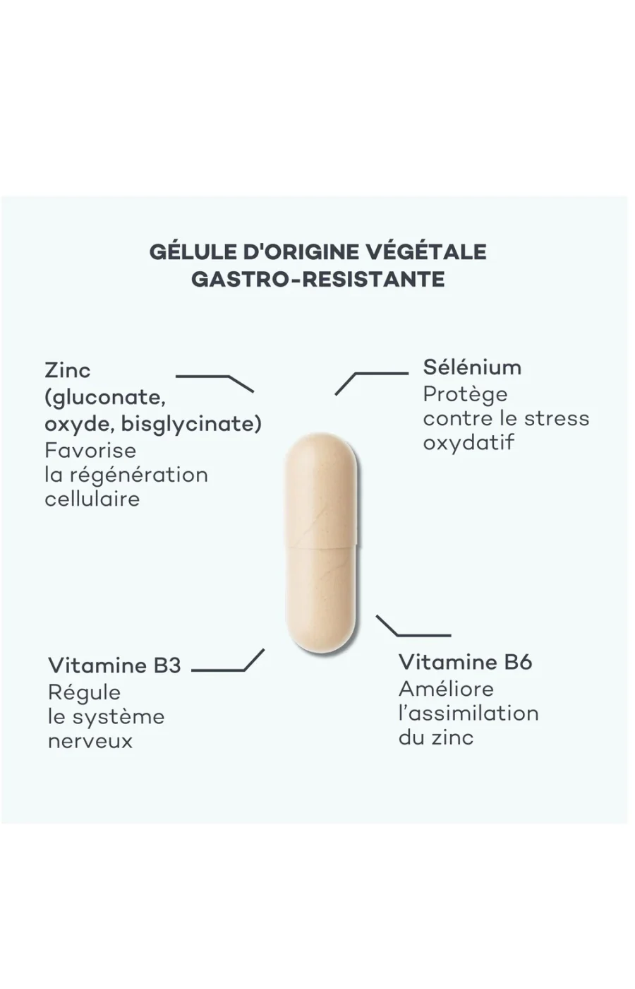 Cure pureté - Absolu de Zinc - 3 mois - Image 2
