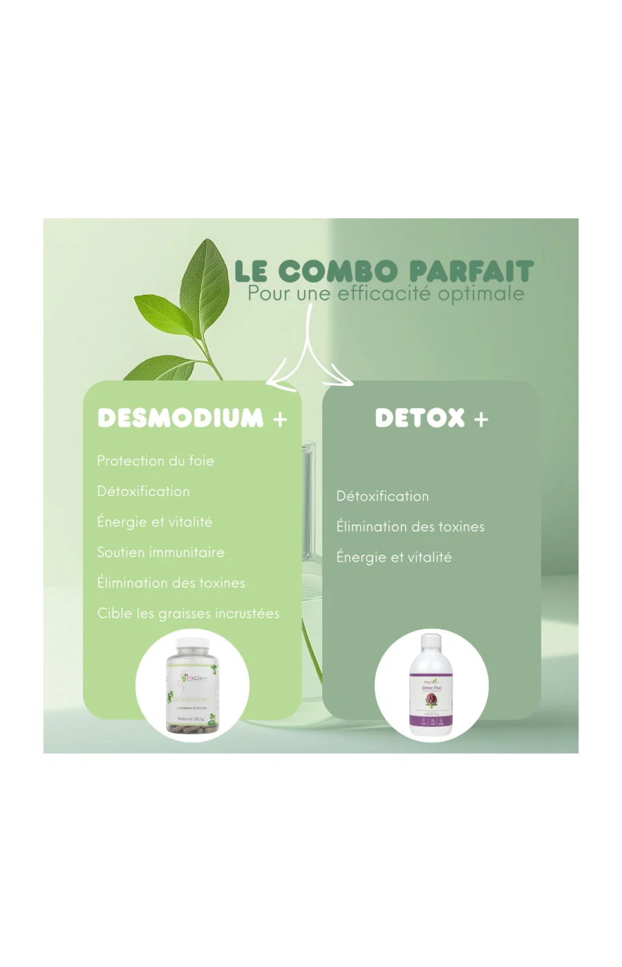 Cure detox du foie - Desmodium + - 20 jours - Image 9