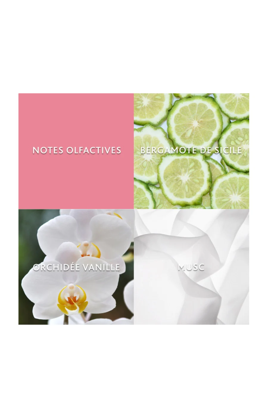 Definition Eau de Parfum - Christina Aguilera - Oriental floral - Image 3