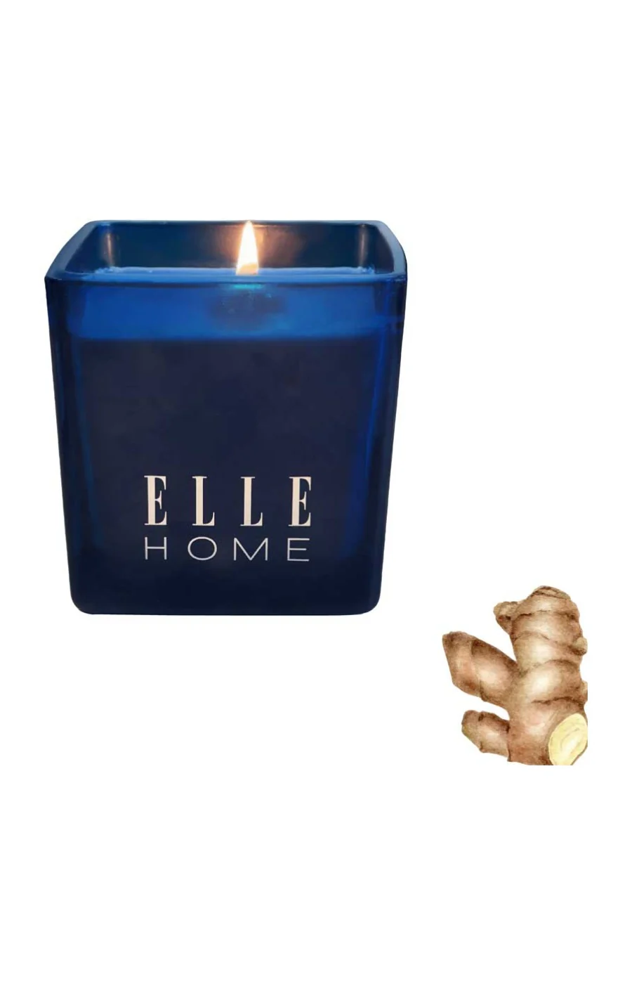 Bougie parfumée - Wood & Ginger - Hespéridé - 215 g - Image 3