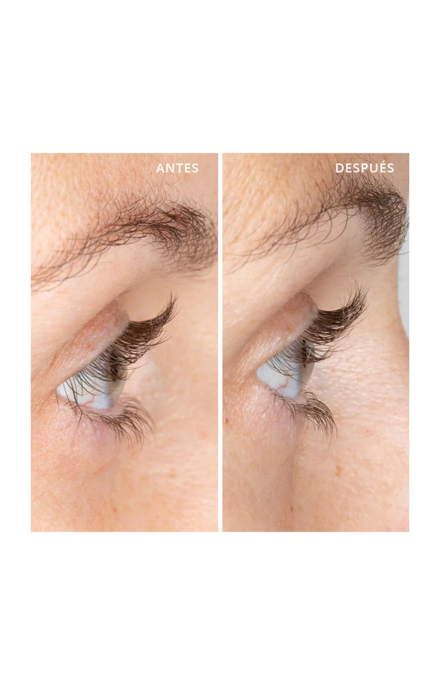 Sérum densité - Cils - 5 ml - Image 4