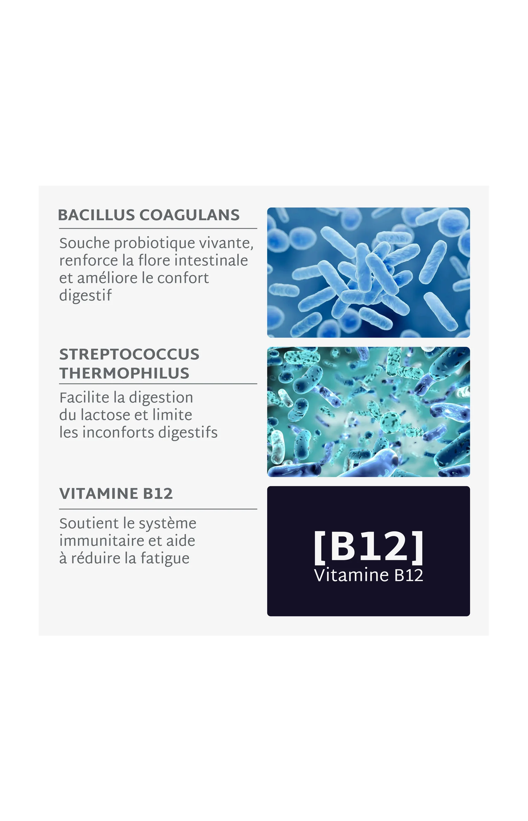 Cure gummies inconforts digestifs - Probiotiques - Sans sucres - Mûre - 2 mois - Image 9