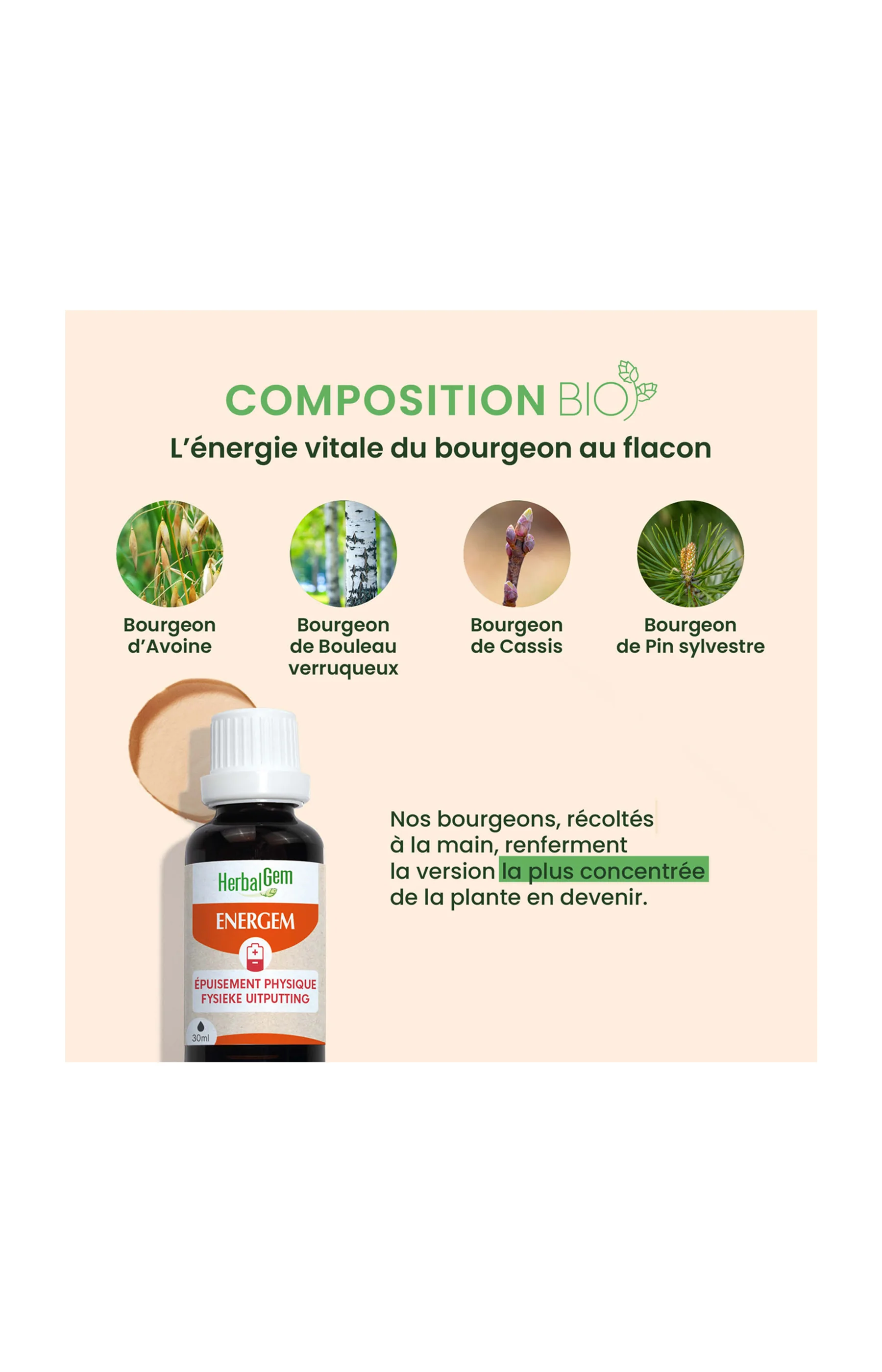 Sirop épuisement physique bio - Energem - 30 ml - Image 4