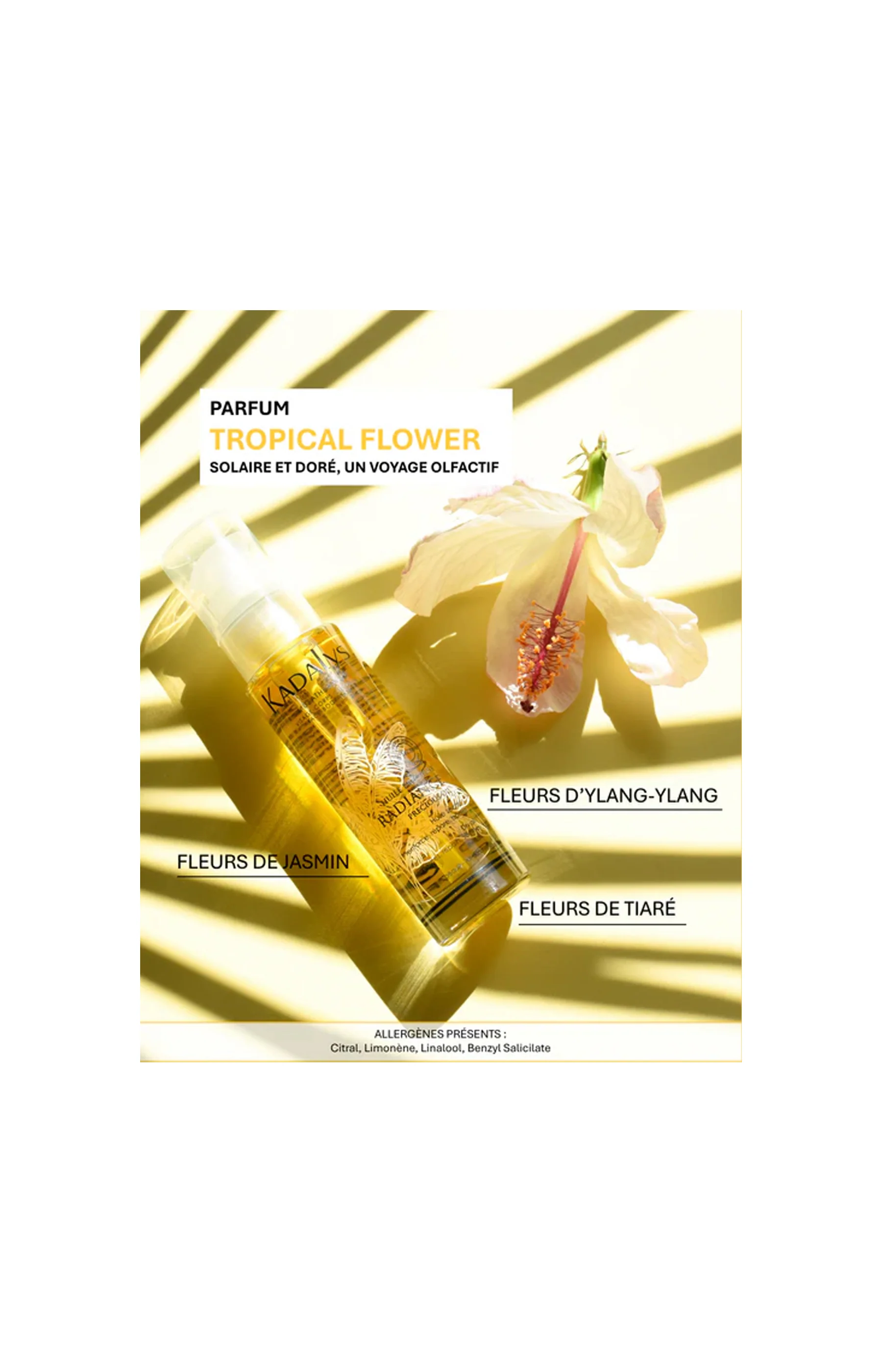 Huile précieuse radiance - Visage, corps & cheveux - 50 ml - Image 4