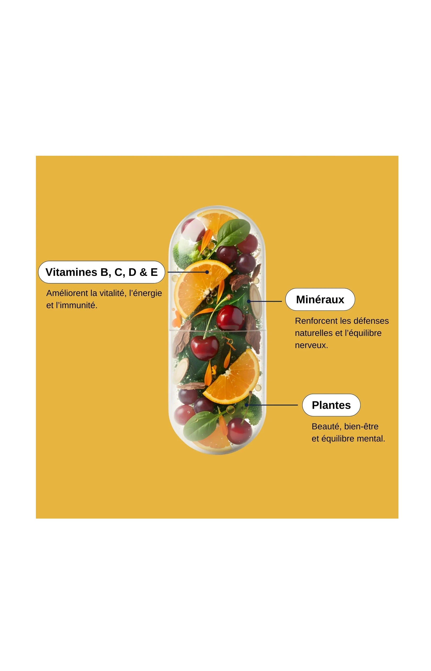 Multivitamines 30 - 1 mois - Image 4
