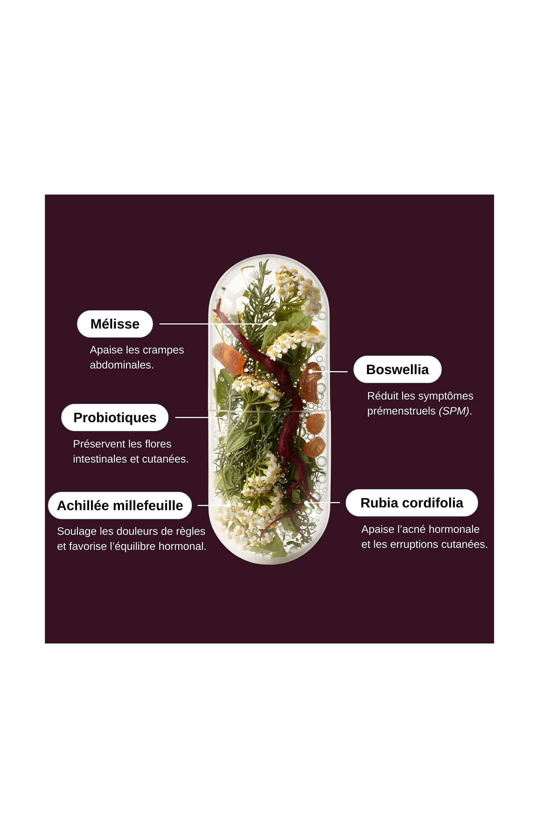 Probio Menstruations - Confort menstruel - 1 mois - Image 3