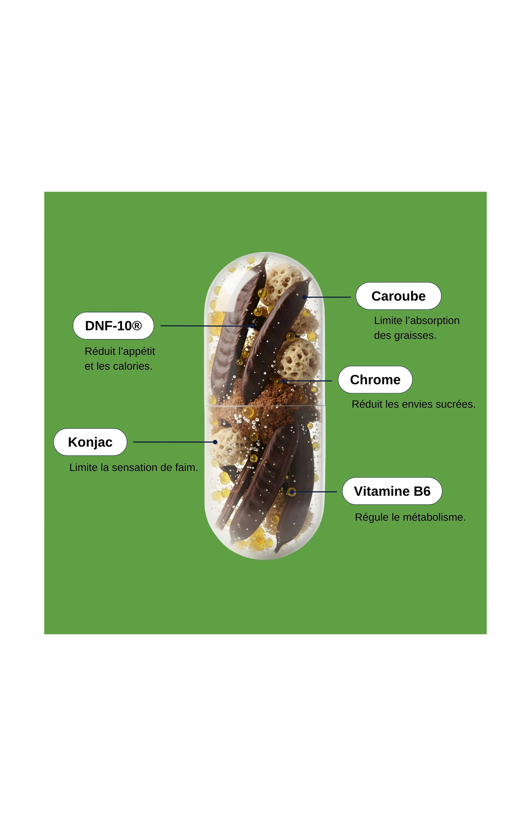 Super coupe-faim - 1 mois - Image 4