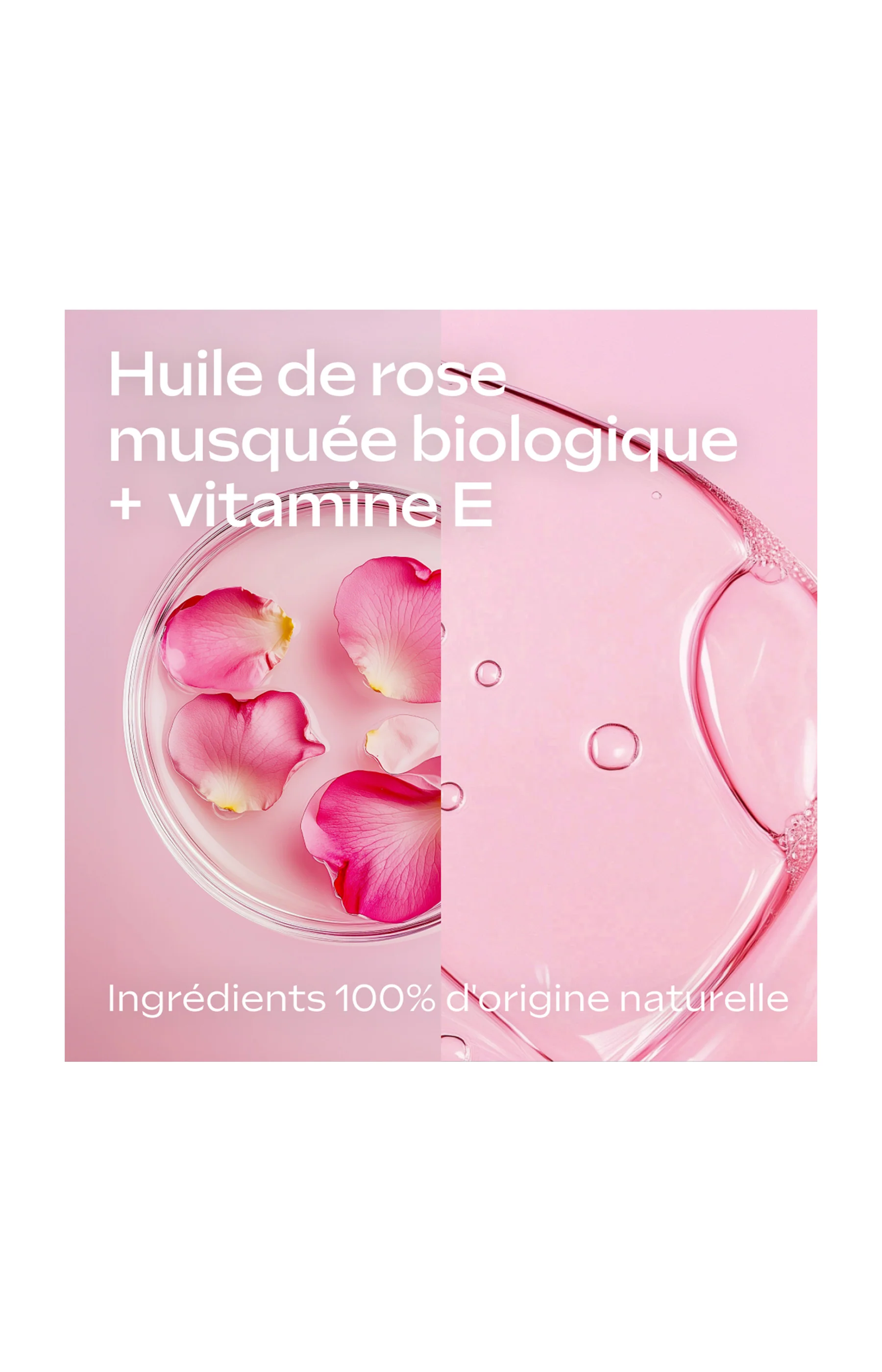 Lait corps lissant - Rose musquée - 250 ml - Image 4