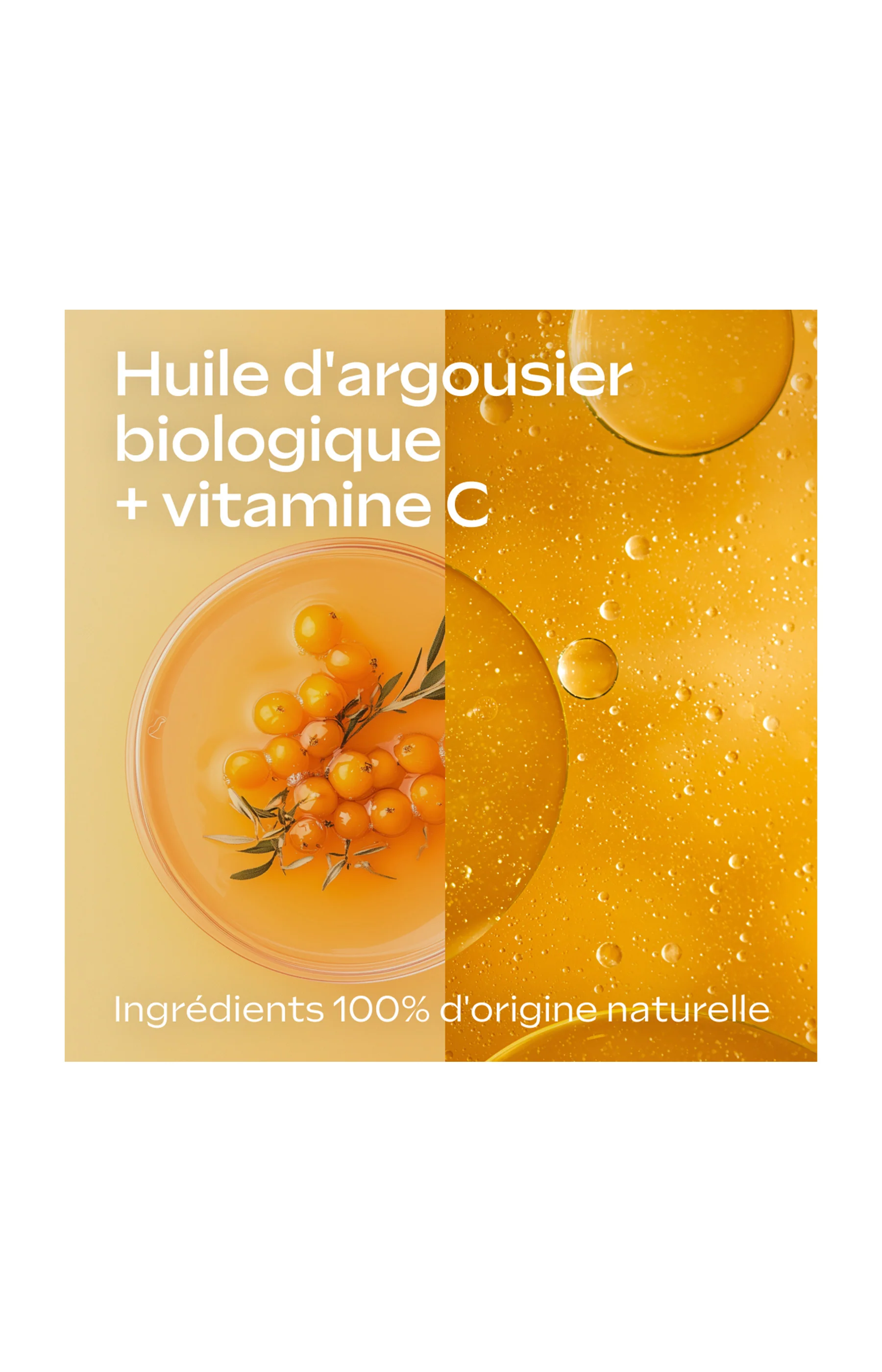 Lait corps régénérant - Argousier - 250 ml - Image 3