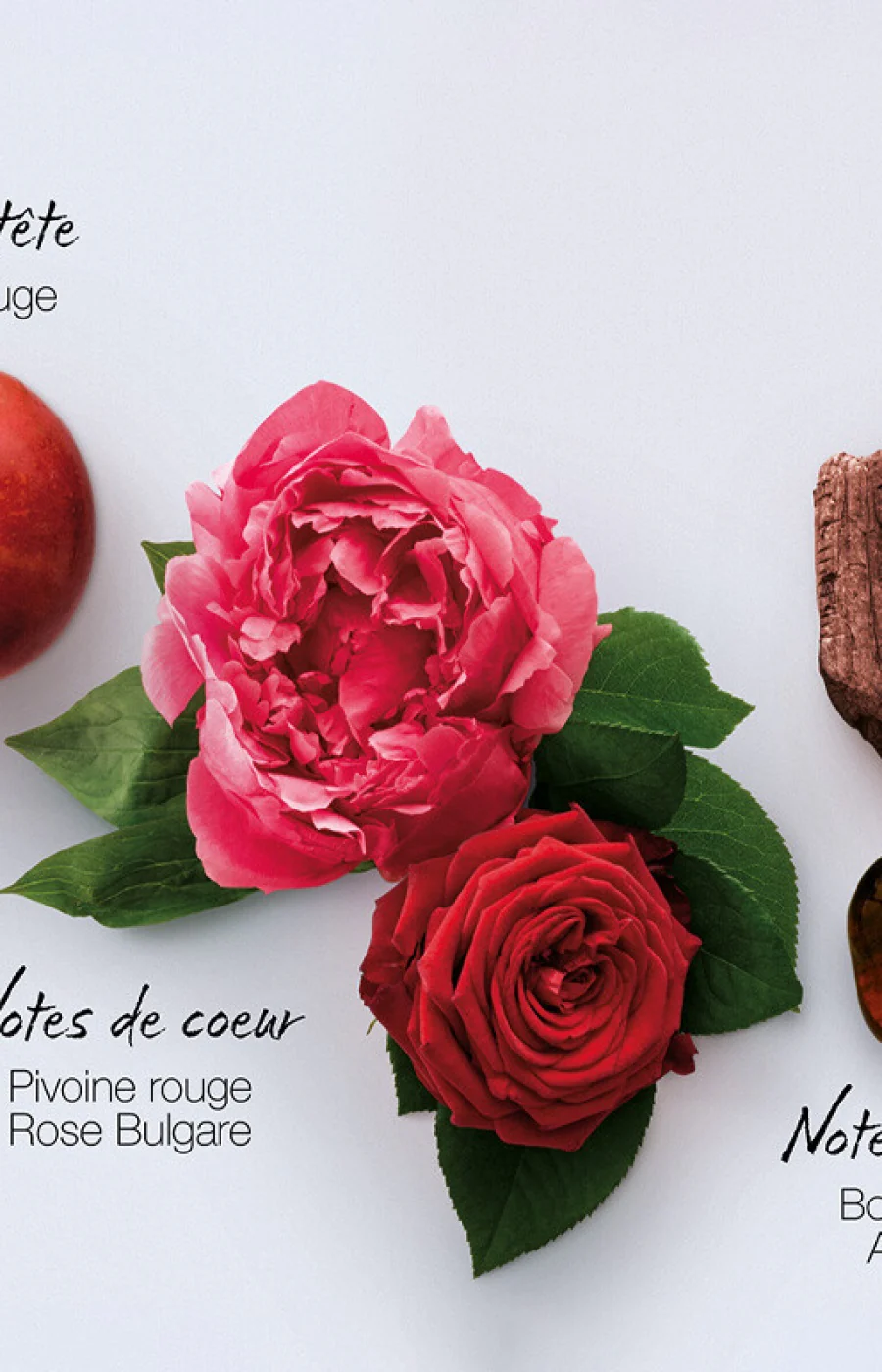 Crème divine - In Red - Oriental floral boisé - Corps - 200 ml - Image 2