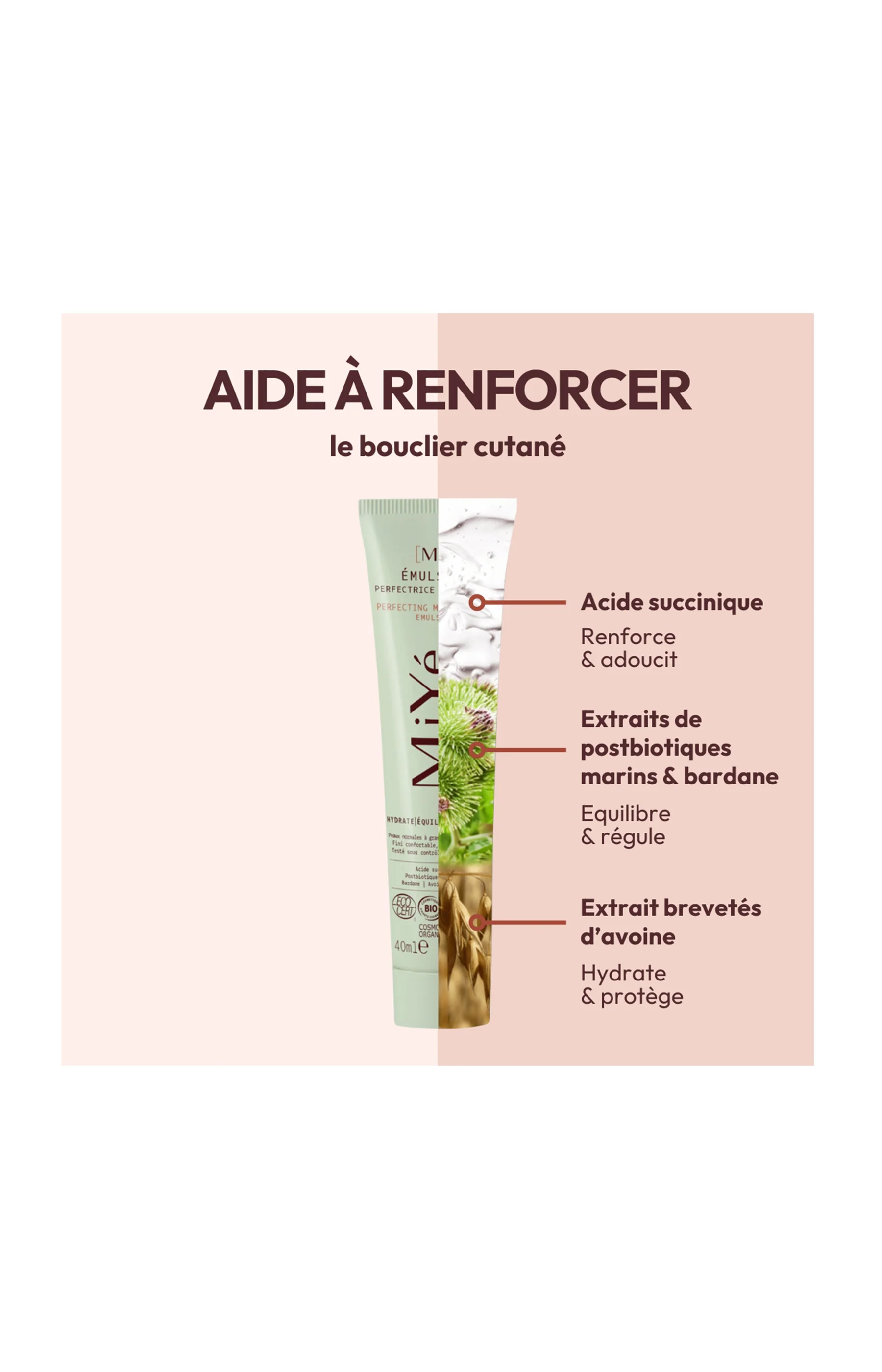[MY] Emulsion Perfectrice 40ml - Image 3