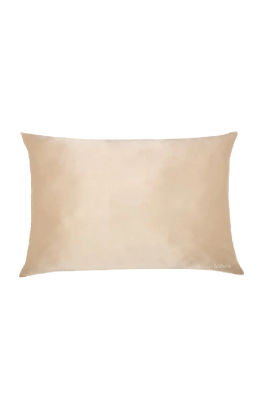 Taie d'oreiller rectangle - Soie naturelle - Beige
