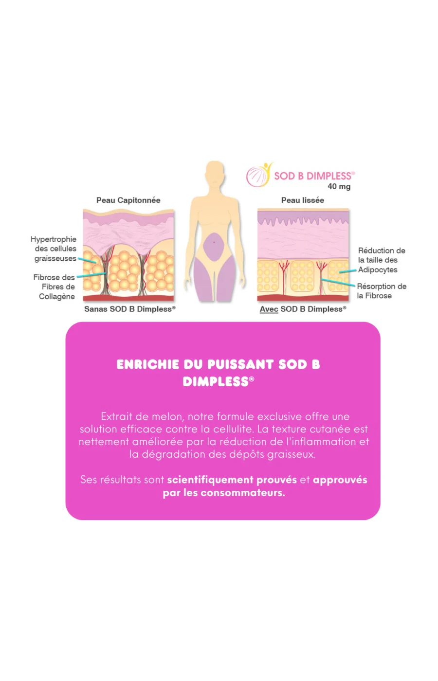 Poudres collagène marin - La Merveille - 3 mois - Image 10
