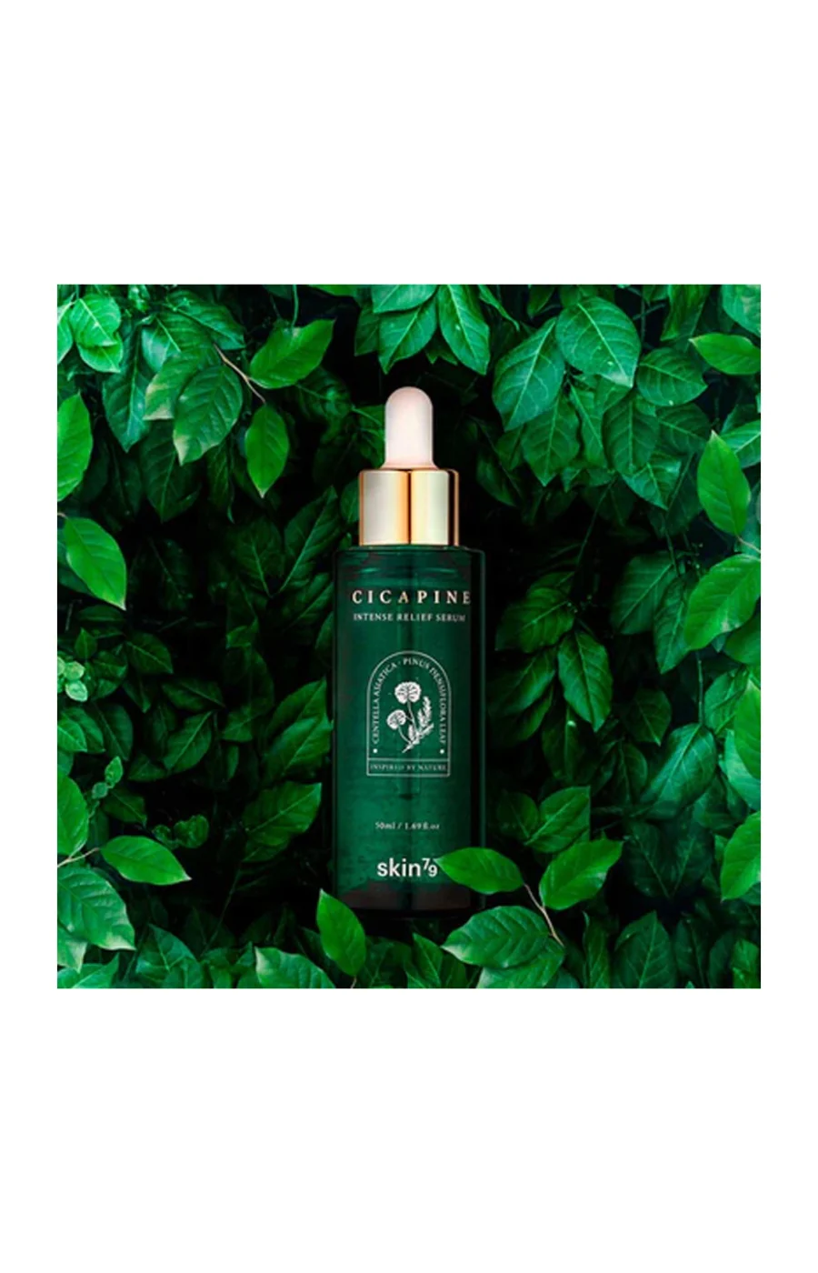 Sérum hydratant - Centella asiatica - 50 ml - Image 2