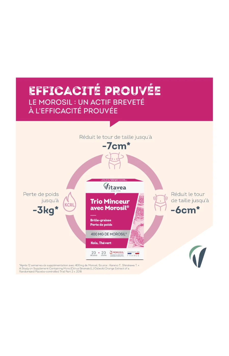 Cure minceur & brûle graisse - Morosil & thé vert - 20 jours - Image 3