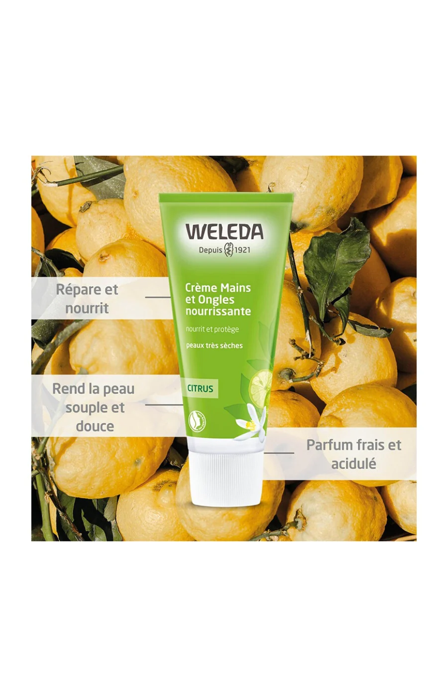Crème nourrissante - Citrus - Mains & ongles - 50 ml - Image 4