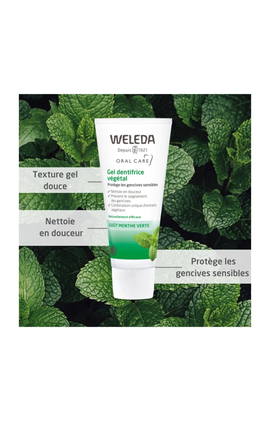 Dentifrices végétaux - Menthe verte - 2 x 75 ml - Image 2