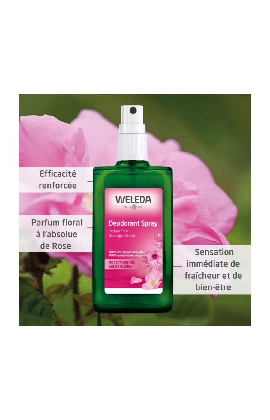 Déodorant en spray - Rose - 100 ml - Image 2