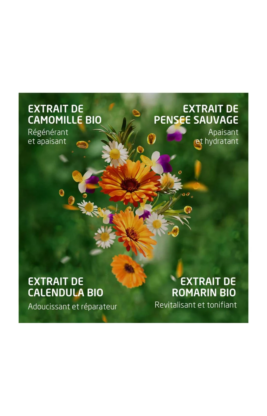 Gel-en-huile nettoyant - Skin Food - Visage - Image 3
