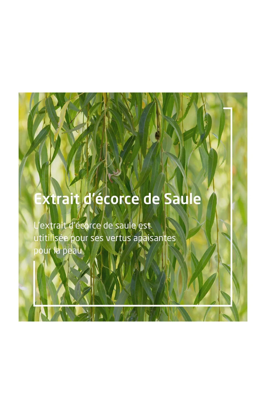Gel nettoyant purifiant - Peaux à imperfections - Image 3