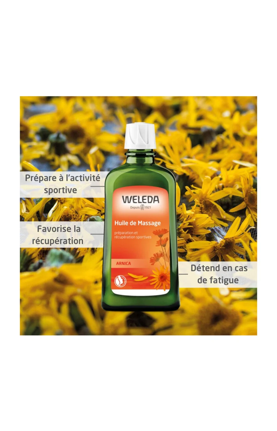 Huile de massage - Arnica - 50 ml - Image 2