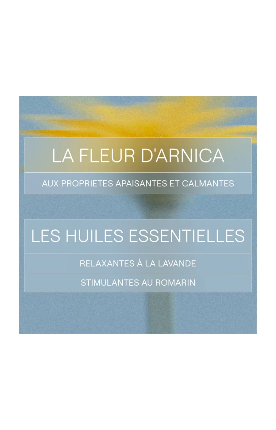 Huile de massage - Arnica - Corps - 200 ml - Image 2