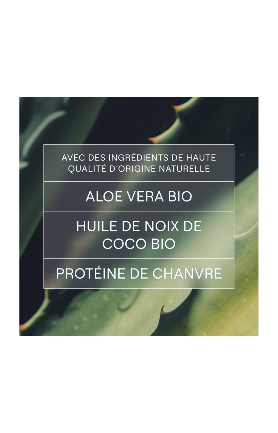 Shampoing solide hydratant bio - Aloe vera & coco - Cheveux secs - 50 g - Image 3