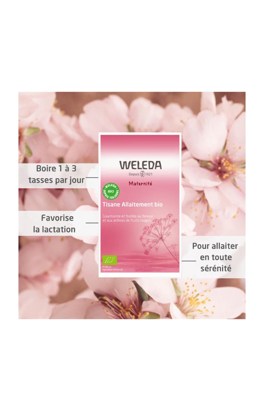 Tisane allaitement bio - Fruits rouges & framboise - 20 sachets - Image 2