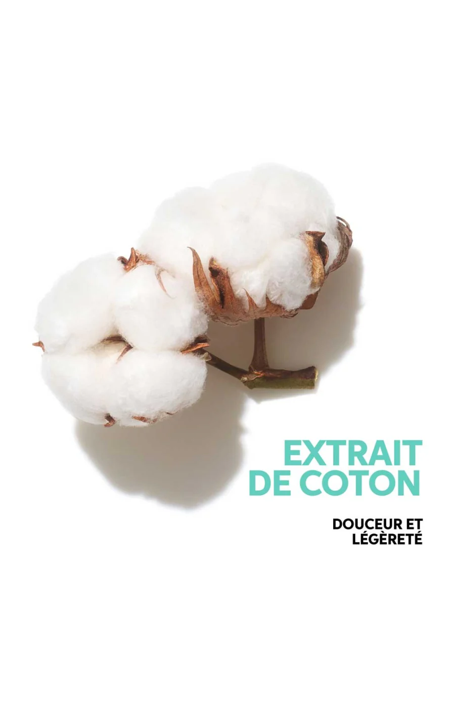 Shampoing épaississant - Volume Boost - Cheveux fins - Image 7