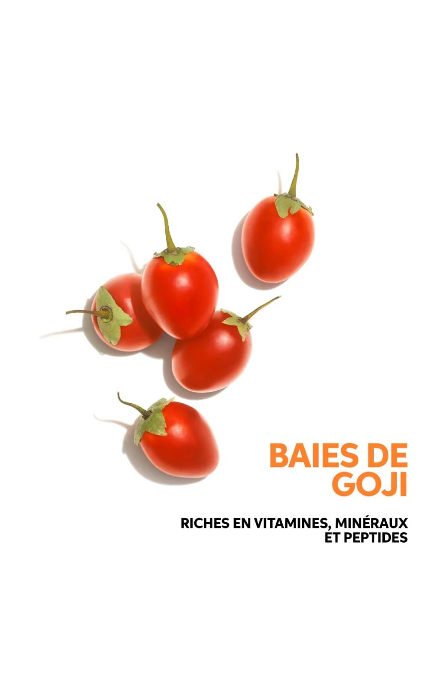 Shampoing nourrissant - Nutri-Enrich - Cheveux secs ou fragilisés - Image 9